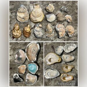 Beautiful handmade oyster shell trinket dish’s, jewelry dish, ring dish